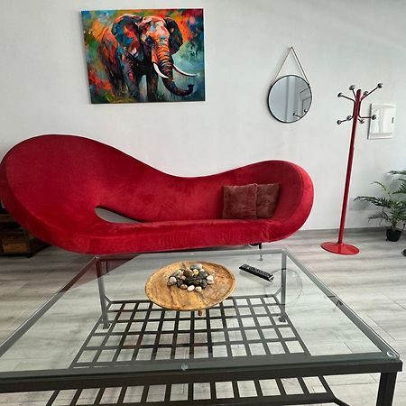 Apartmán Dream Loft Sc Santa Cruz de Tenerife Exteriér fotografie