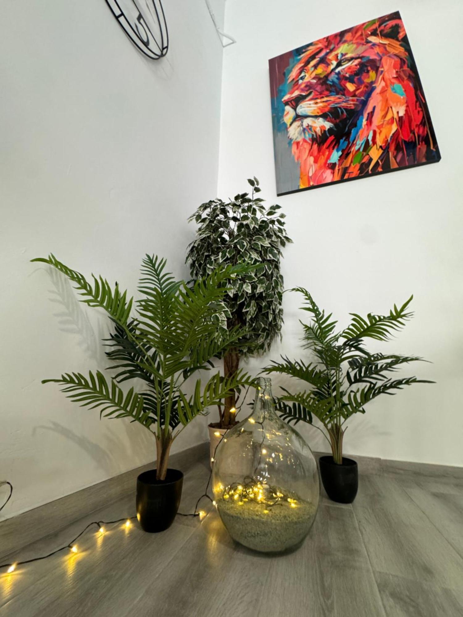 Apartmán Dream Loft Sc Santa Cruz de Tenerife Exteriér fotografie